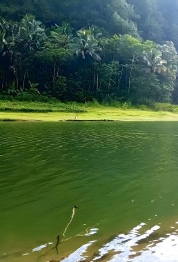 Yeşil ormandaki göl manzarası hala çok güzel.