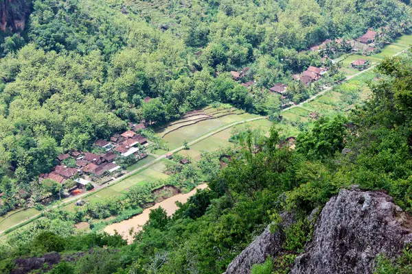 view of the river and villagers\' houses from the top of the Mangunan fruit garden
