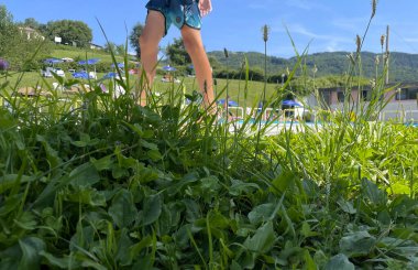 Beyaz arka planda domates ve yumurta ile dekoratif bir tabağın yakın çekimi