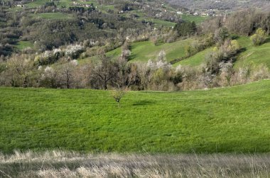 İtalya 'nın güneyinde bahar manzarası