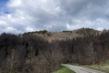 Kırsaldaki bir yolun güzel bir görüntüsü.