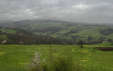 Karpat dağlarında ilkbahar manzarası