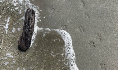 Islak kumlara yakın çekim küçük beyaz bir dalga ve arka planda deniz.