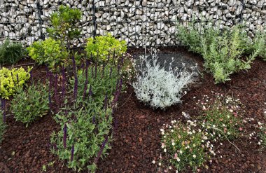 beautiful garden design. gardening concept