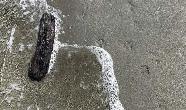 Islak kumlara yakın çekim küçük beyaz bir dalga ve arka planda deniz.