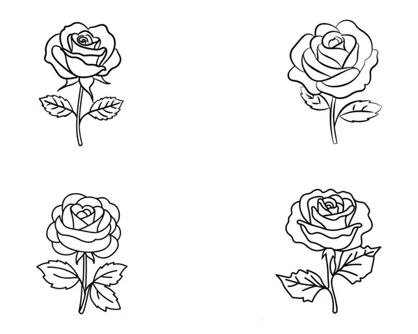Set Rose Flower Hand Gezeichnete Vektor Illustration Auf Weißem Hintergrund — Stockvektor