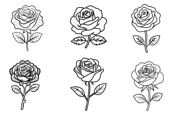Rose Flowers Set Vector Silhouette Outline Weißen Hintergrund — Stockvektor