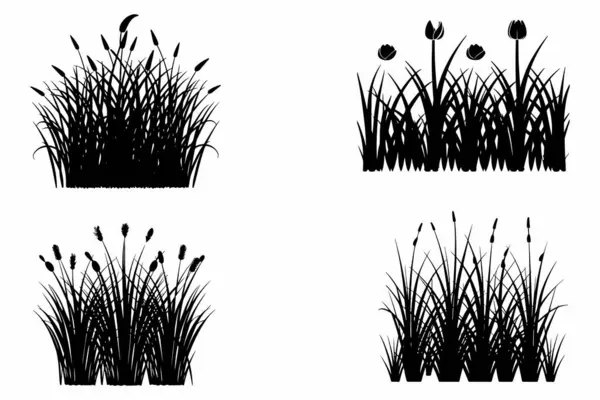 Set Silhouettes Grass Outline Vector Illustration White Background — Stock Vector