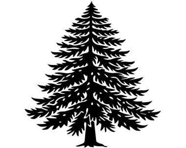 Silhouette of tall pine tree on a white background Vector illustration clipart