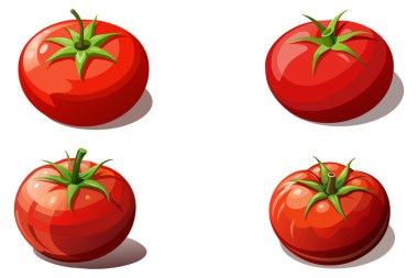Kırmızı domatesler vektör tasarımı çizimini ayarla