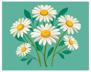  Cartoon Daisy Flower Vector Design On White Background illustration clipart