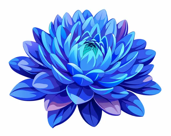 Blue dahlia flower on white background vector illustration