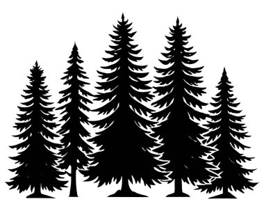 Black Spruce Trees Winter season design illustration vector clipart