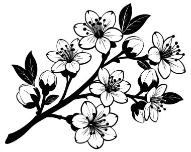 Beyaz arkaplanda El Çekimi Çiçekleri