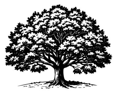 Very Big Tree Silhouette Vector clipart