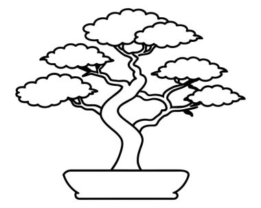 Bonsai ağacı beyaz vektörde izole edildi