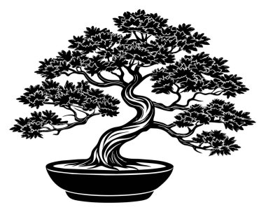 Bonsai ağacı beyaz vektörde izole edildi