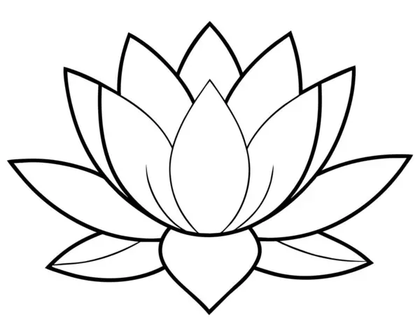 Lotus Çiçeği Illüstrasyon Vektörü — Stok Vektör