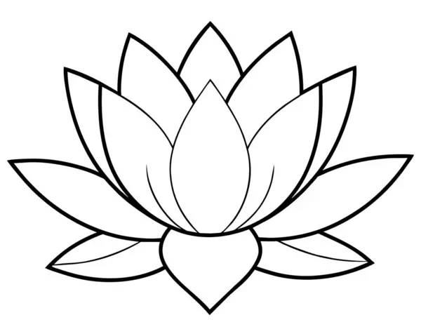 Lotus çiçeği illüstrasyon vektörü