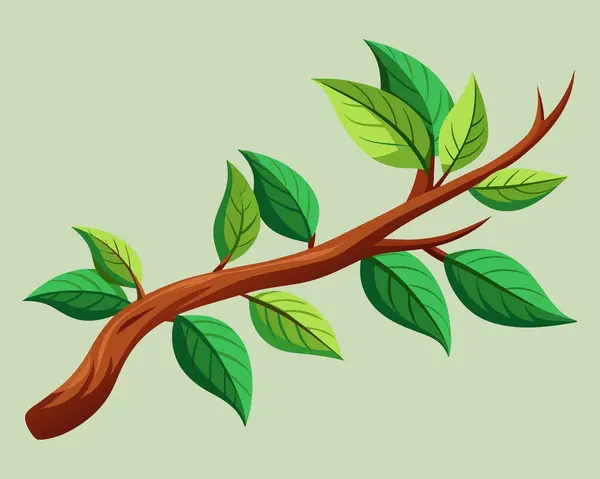 Yeşil Yapraklı Şube Çizim Vektörü — Stok Vektör