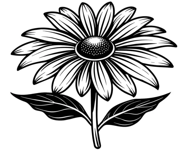 Güzel Gür Yıldız Çiçeği Vektör Illüstrasyonu — Stok Vektör