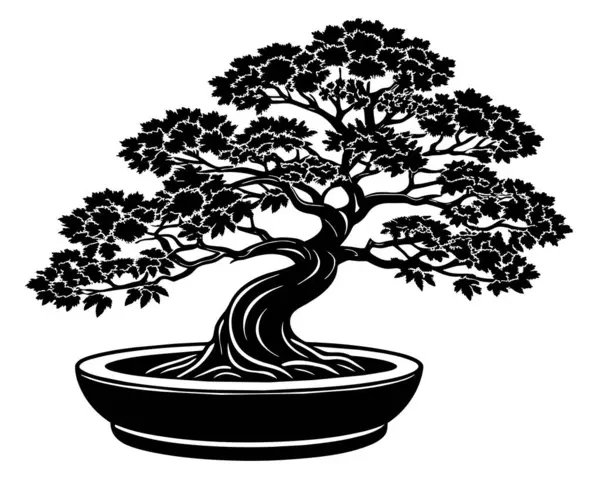 Bonsai Ağacı Beyaz Vektörde Izole Edildi — Stok Vektör