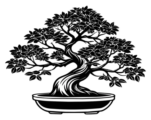 Bonsai Tree Isolated White Vector — Stock Vector