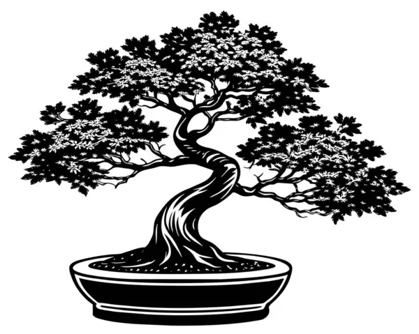 Bonsai Ağacı Beyaz Vektörde Izole Edildi — Stok Vektör