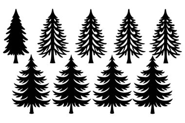 Beautiful Pine Tree Vector Illustration Art clipart