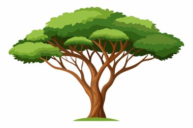 Ashoka ağacı izole edilmiş düz vektör çizimi