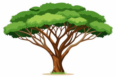 Ashoka tree isolated flat vector illustration clipart