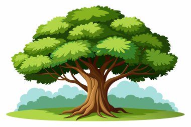 Beyaz bir çam ağacının üzerinde Bristlecone resmi