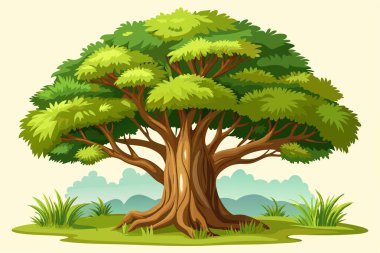 Zeytin ağacı vektör çizim