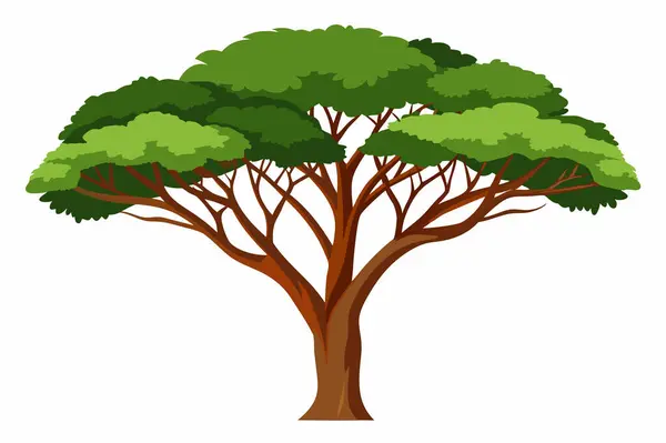 stock vector Ashoka tree isolated flat vector illustration