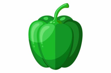 Vector of illustration fresh green bell pepper clipart