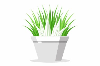 Aloe 'nin kapalı alan içi bitki vektörünün düz çizimi