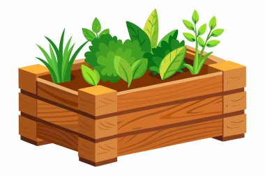 Tahta Sepet Bitkisi Bahçesi