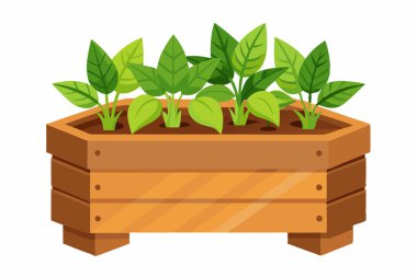 Tahta Sepet Bitkisi Bahçesi