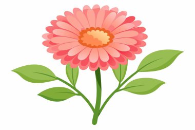 Beyaz arkaplan illüstrasyonunda çiçekler