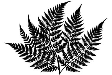 Güzel bir Fern Yaprağı Bitki Hayatı Silueti tasarımı