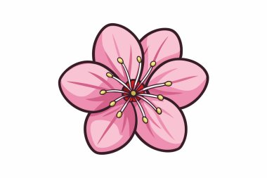Beyaz arkaplanda pembe çiçekler