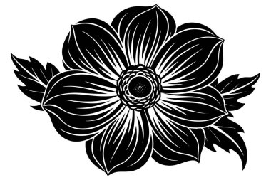 Beyaz arkaplan ile Anemone Siluet vektör çizimi