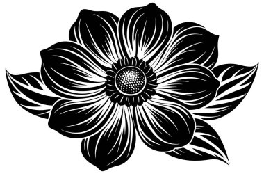 Beyaz arkaplan ile Anemone Siluet vektör çizimi