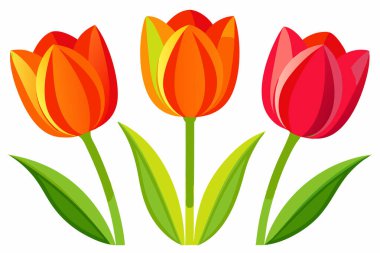 Lale çiçeği grafik renkli illüstrasyon