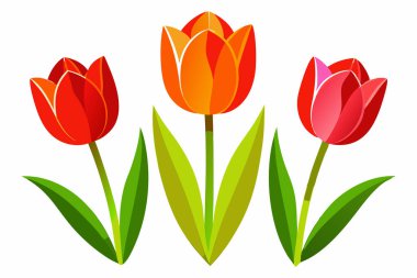 Lale çiçeği grafik renkli illüstrasyon