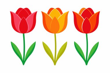Lale çiçeği grafik renkli illüstrasyon