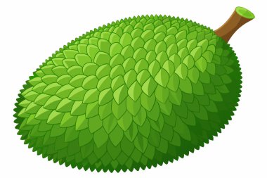 Sağlıklı yaşam tarzı için yaz tropikal meyveler. Jackfruit