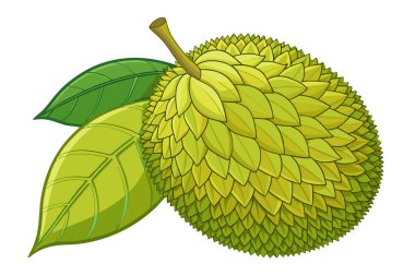 Sağlıklı yaşam tarzı için yaz tropikal meyveler. Jackfruit