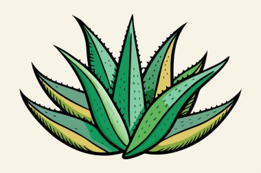 Aloe Vera simge tasarımı güzellik sembolü cilt bakımı