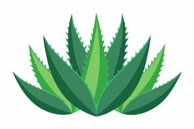 Aloe Vera simge tasarımı güzellik sembolü cilt bakımı